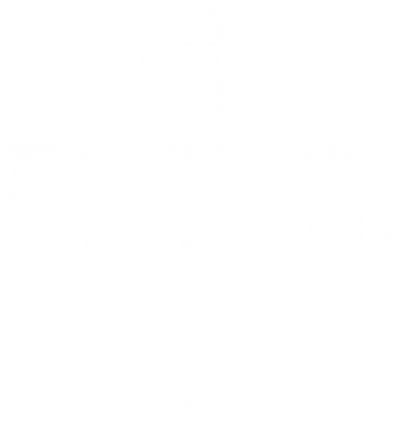 BOSCH Service Logo for Nashville's Import Automotive Repair Shop